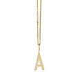 Archetype Gold Letter Necklace & Charms