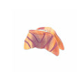 Hair Claw Clip - Croissant
