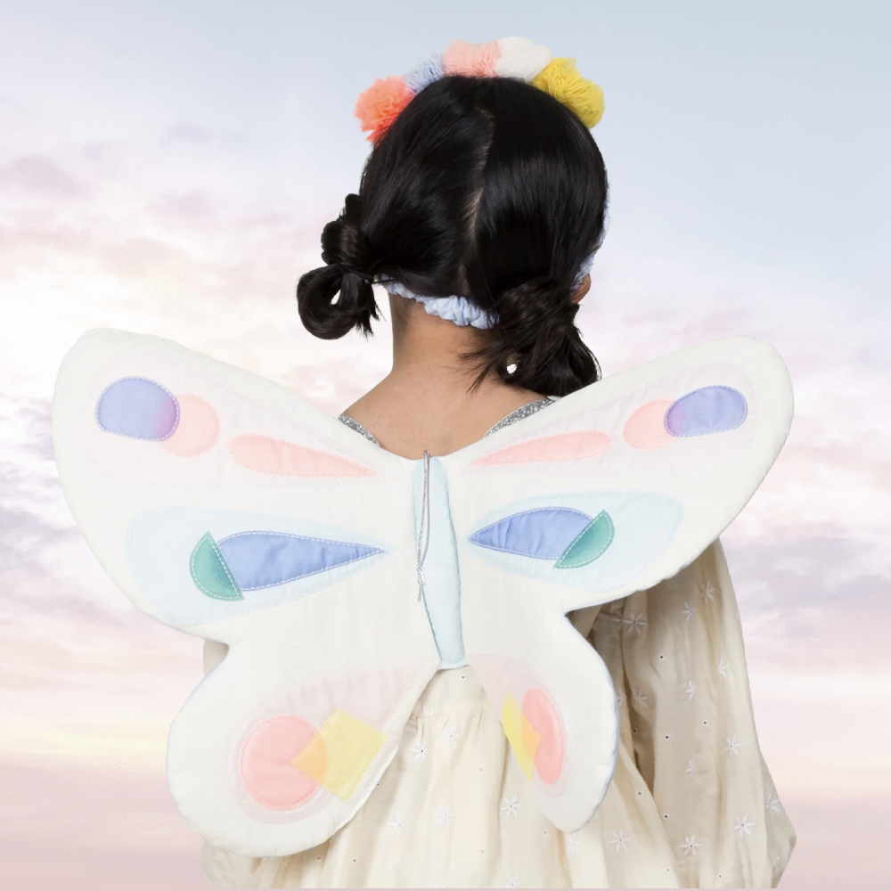 Butterfly Fairy Dress Up Set