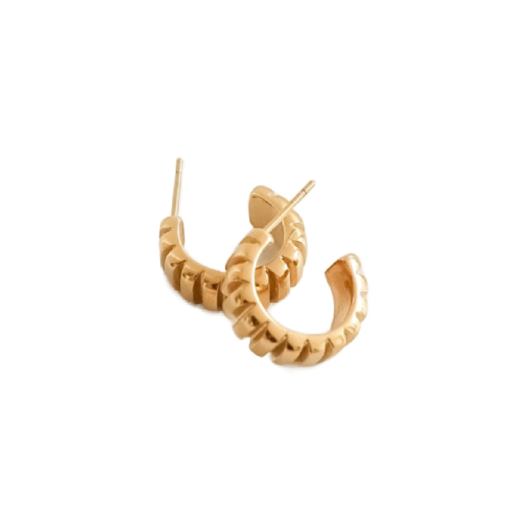 Gold Desi Earrings